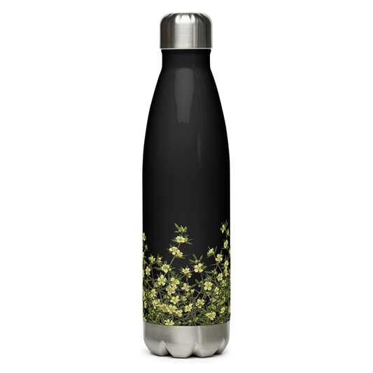 bottle_front_01.10