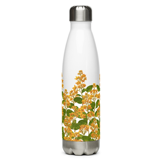 bottle_front_01.13