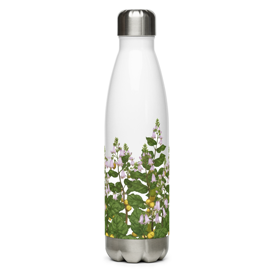 bottle_front_01.13